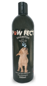 Pawfect Image