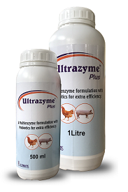 Ultrazyme Plus Image
