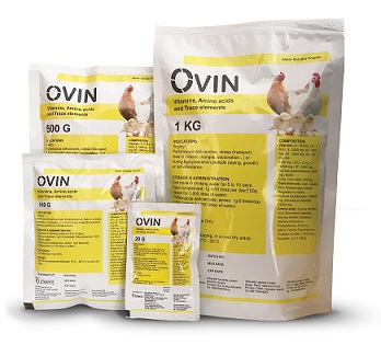 Ovin Image